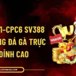 Bồ Gà CPC1–CPC6 SV388 - Đấu Trường Đá Gà Trực Tiếp Đỉnh Cao