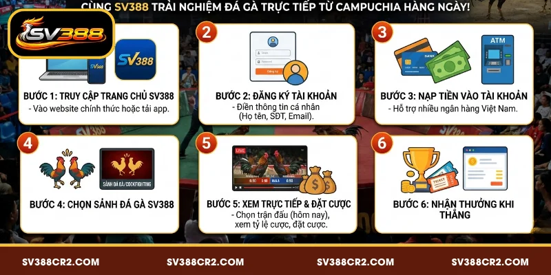 Cách xem trực tiếp đá gà Campuchia hôm nay trên SV388 dễ dàng