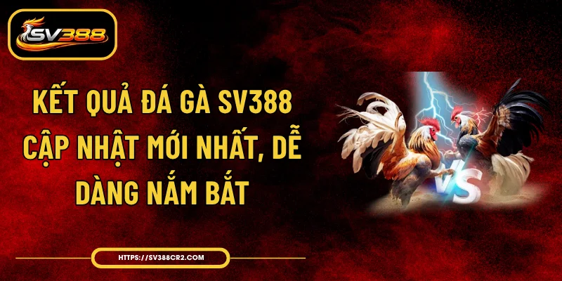 Kết Quả Đá Gà SV388 - Cập Nhật Mới Nhất, Dễ Dàng Nắm Bắt 1 Kết Quả Đá Gà SV388 - Cập Nhật Mới Nhất, Dễ Dàng Nắm Bắt