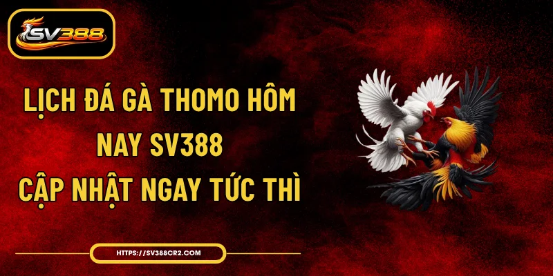 Lịch Đá Gà Thomo Hôm Nay SV388 - Cập Nhật Ngay Tức Thì