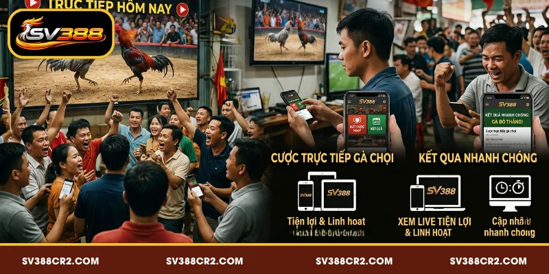 Lợi ích khi xem đá gà live trên SV388