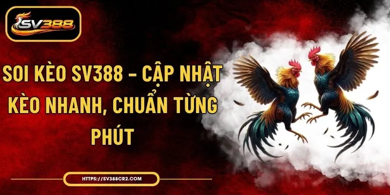 Soi Kèo SV388 – Cập Nhật Kèo Nhanh, Chuẩn Từng Phút