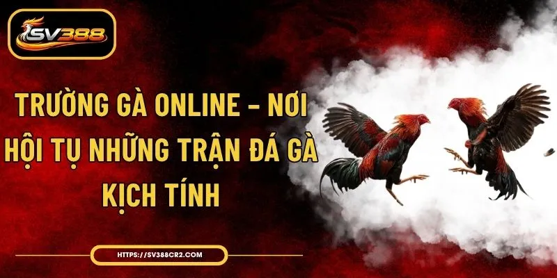 Trường gà online nơi hội tụ những trận đá gà kịch tính
