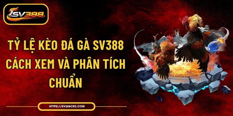 Tỷ Lệ Kèo Đá Gà SV388 - Cách Xem Và Phân Tích Chuẩn